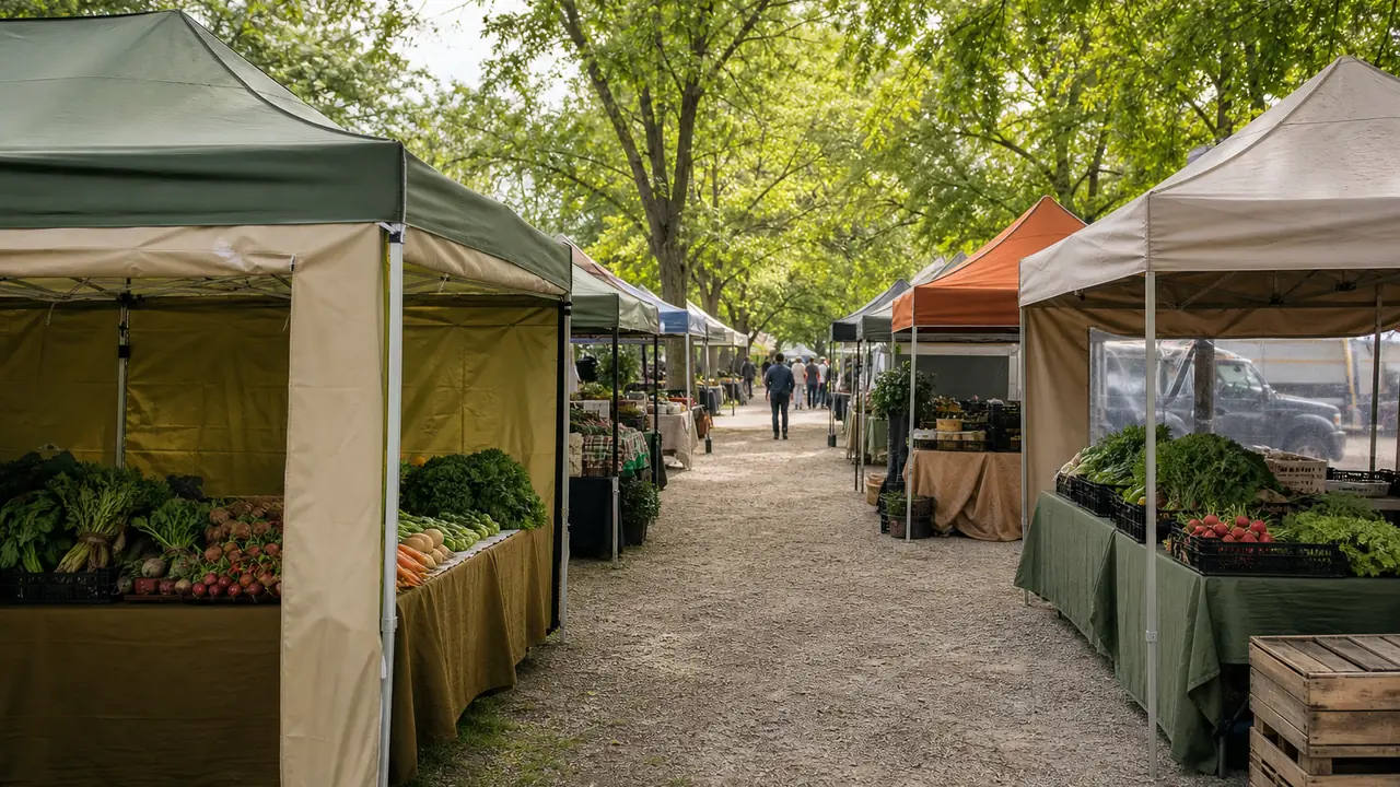 Illustration von Händlerpavillons auf einem Markt: eine Reihe von 10x10-Faltpavillons mit Halbwänden und Beinbeschwerungen